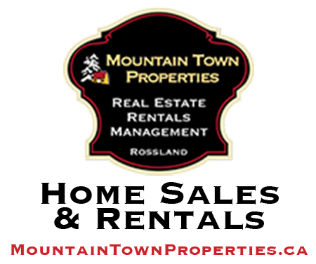 Mountain Town Properties Logo